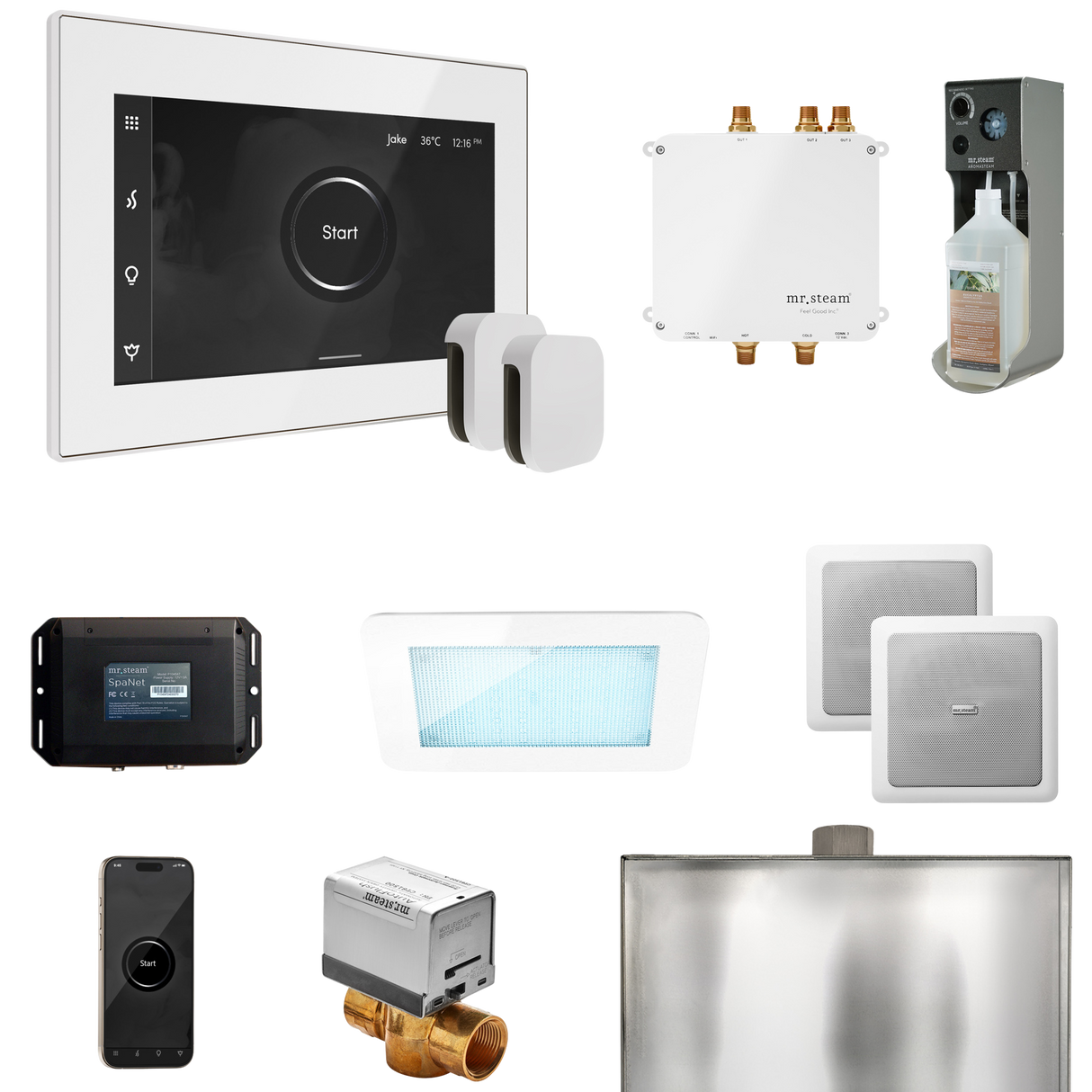 Mr. Steam Bliss Max Steam Shower Control Package with iSteamX Control and Steamhead