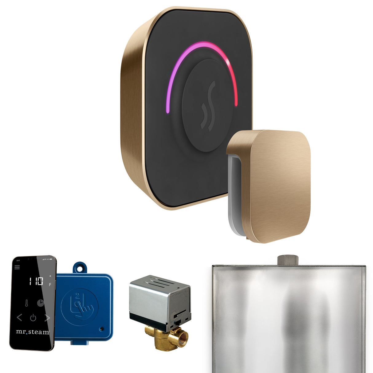 Mr. Steam ButlerTouch Steam Shower Control Package with TempoTouch Control and Steamhead