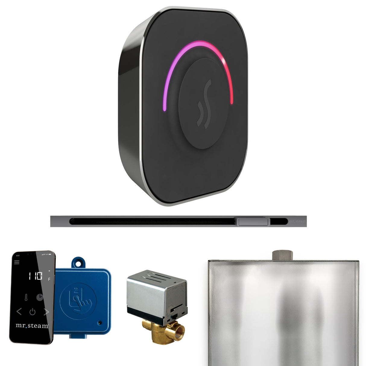 Mr. Steam ButlerTouch Steam Shower Control Package with TempoTouch Control and Linear Steamhead