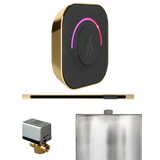 Mr. Steam ButlerTouch Steam Shower Control Package with TempoTouch Control and Linear Steamhead