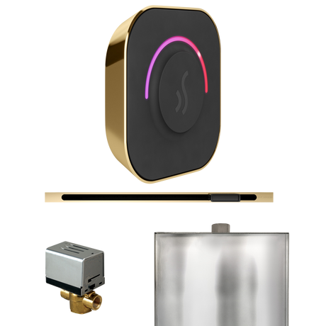 Mr. Steam ButlerTouch Steam Shower Control Package with TempoTouch Control and Linear Steamhead