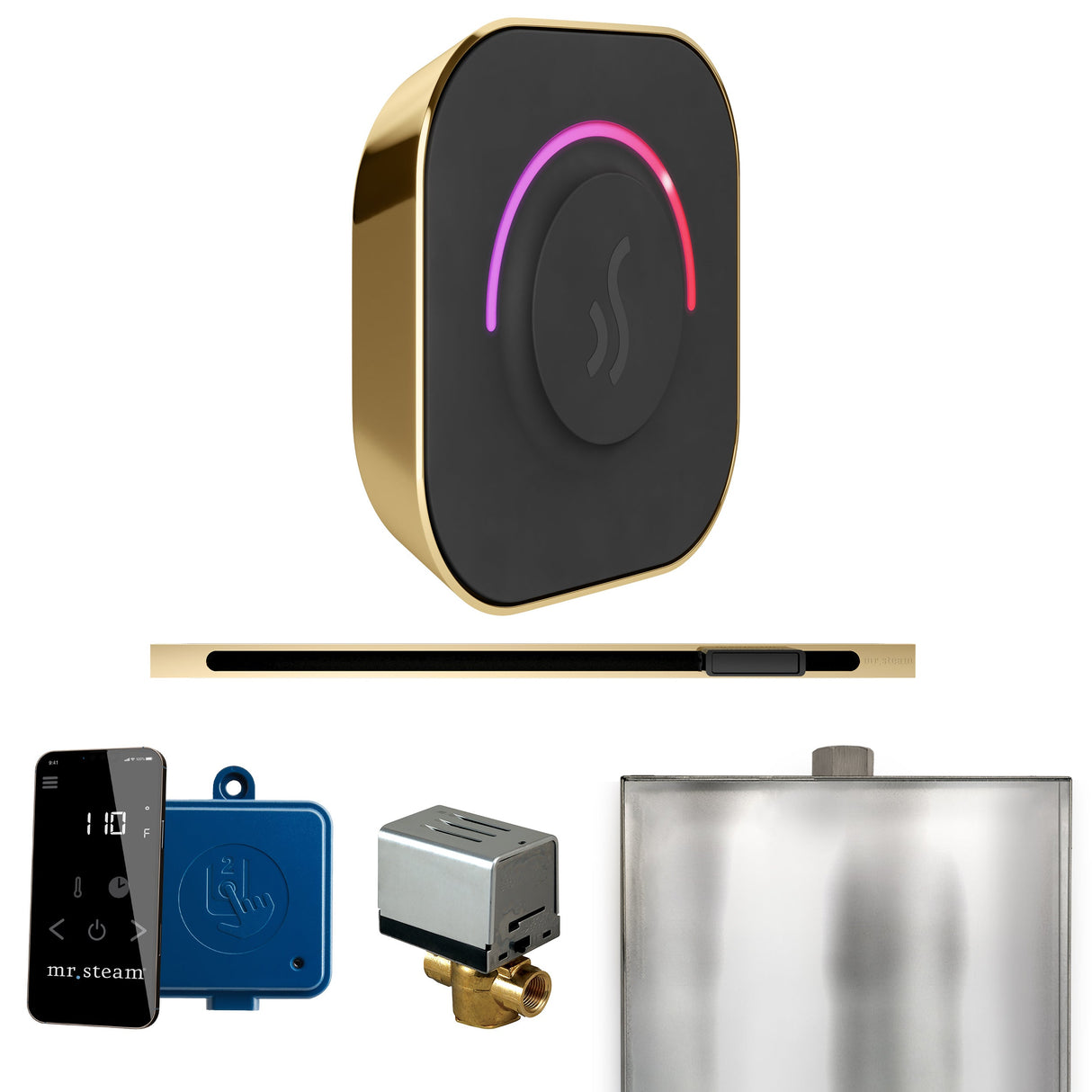 Mr. Steam ButlerTouch Steam Shower Control Package with TempoTouch Control and Linear Steamhead