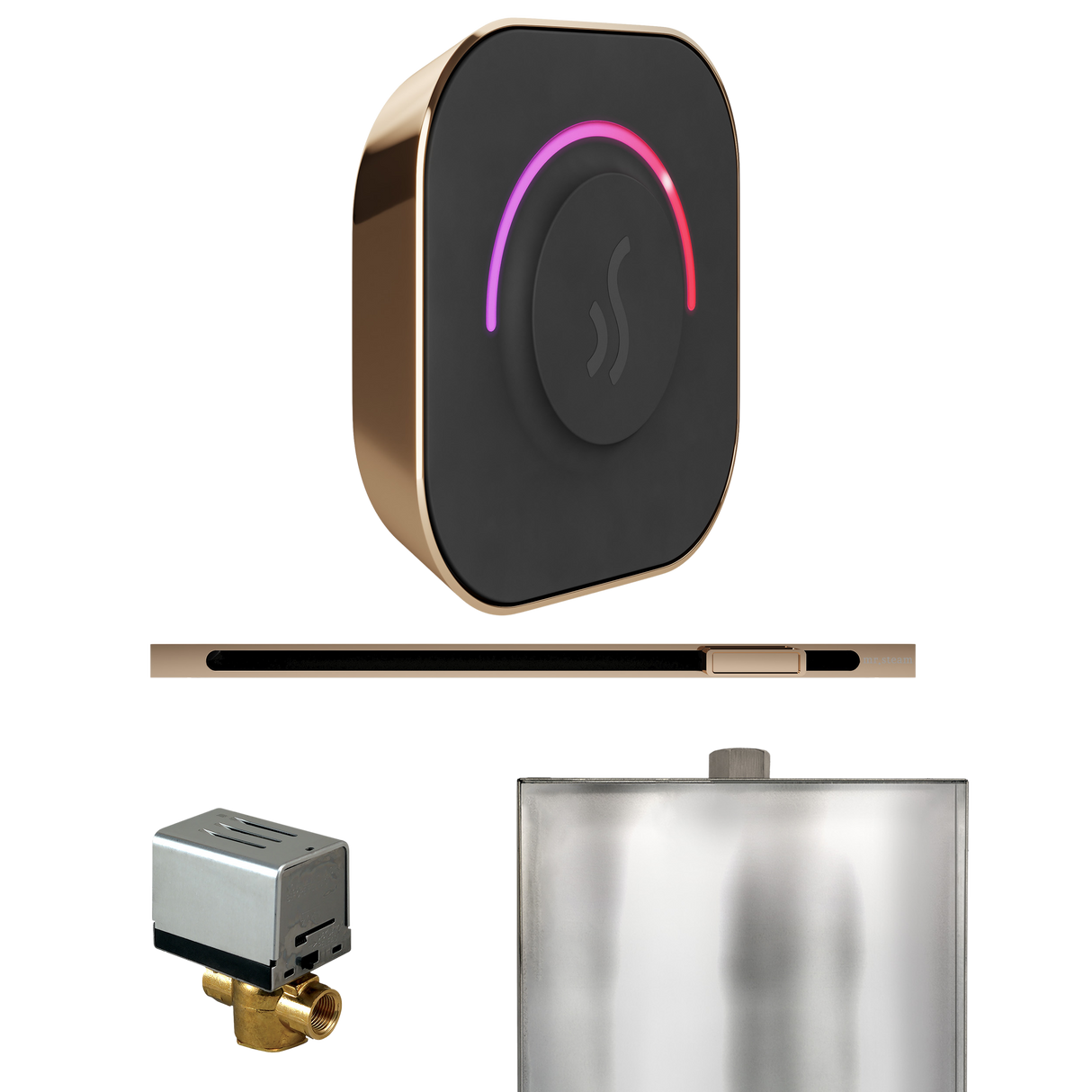Mr. Steam ButlerTouch Steam Shower Control Package with TempoTouch Control and Linear Steamhead