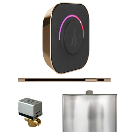 Mr. Steam ButlerTouch Steam Shower Control Package with TempoTouch Control and Linear Steamhead