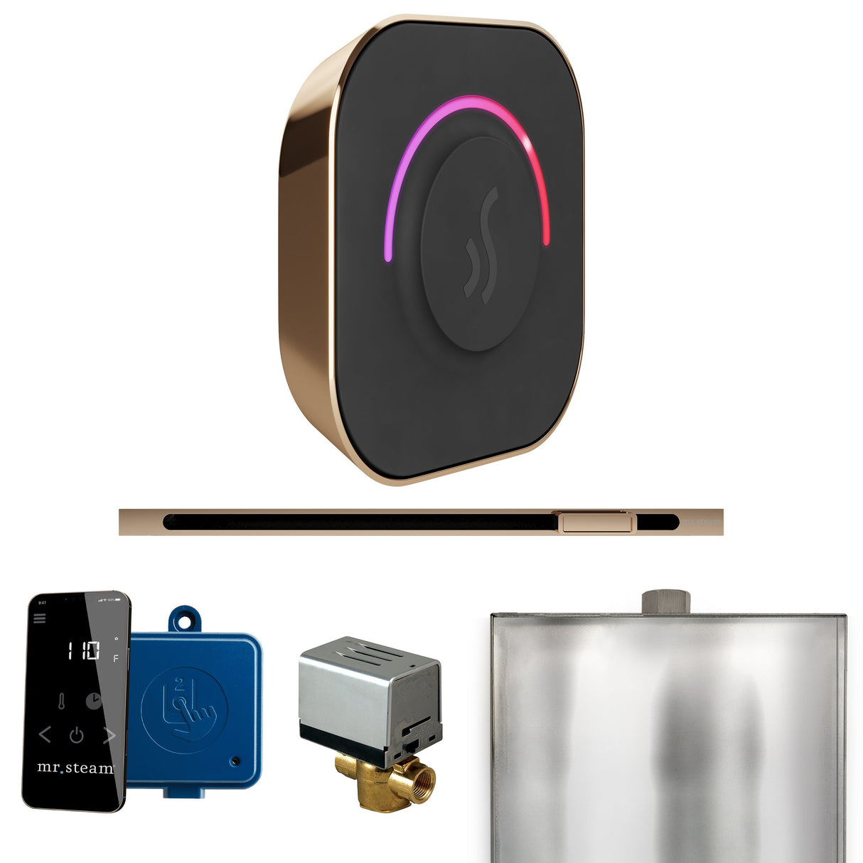 Mr. Steam ButlerTouch Steam Shower Control Package with TempoTouch Control and Linear Steamhead