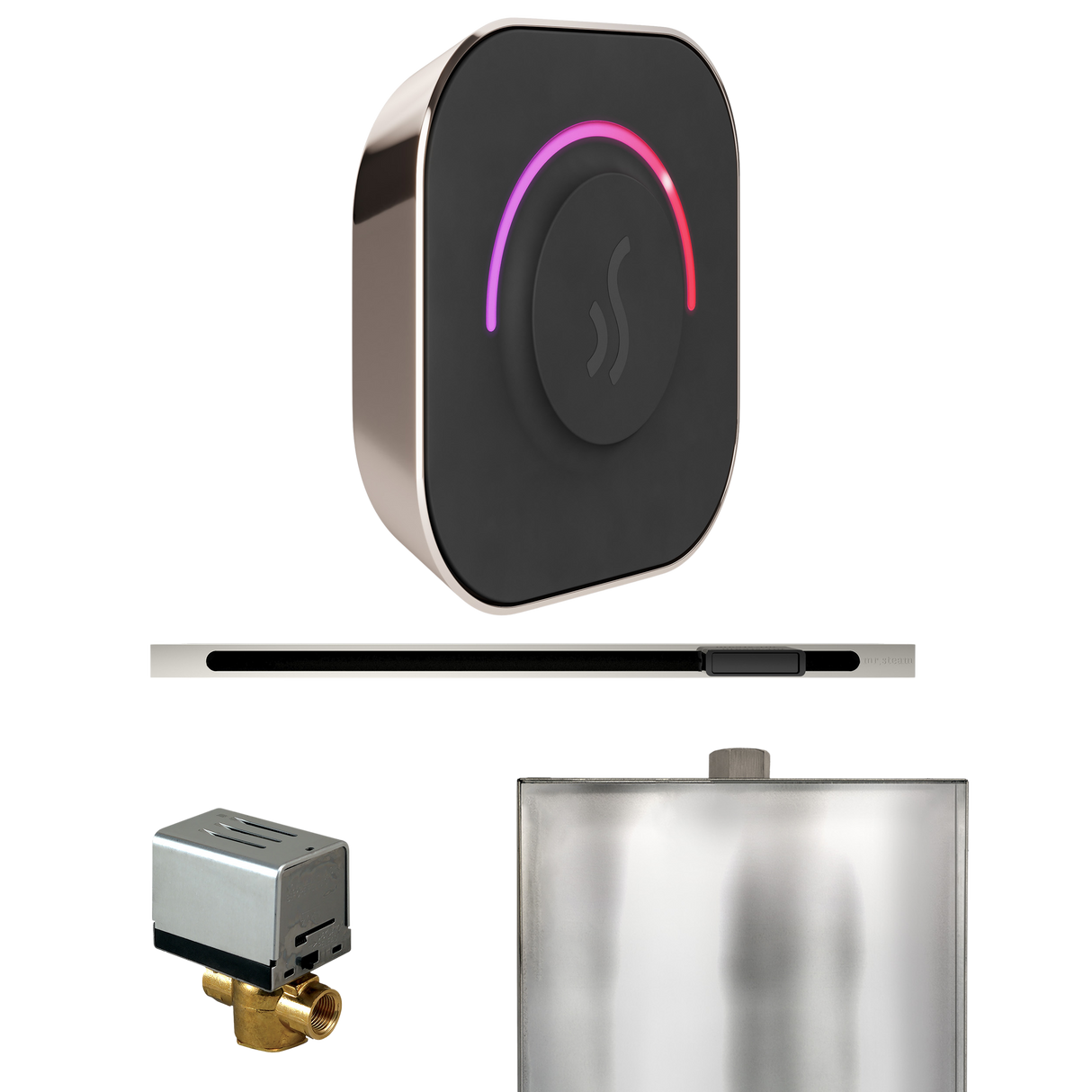 Mr. Steam ButlerTouch Steam Shower Control Package with TempoTouch Control and Linear Steamhead