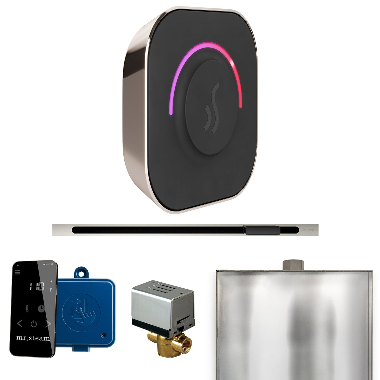 Mr. Steam ButlerTouch Steam Shower Control Package with TempoTouch Control and Linear Steamhead