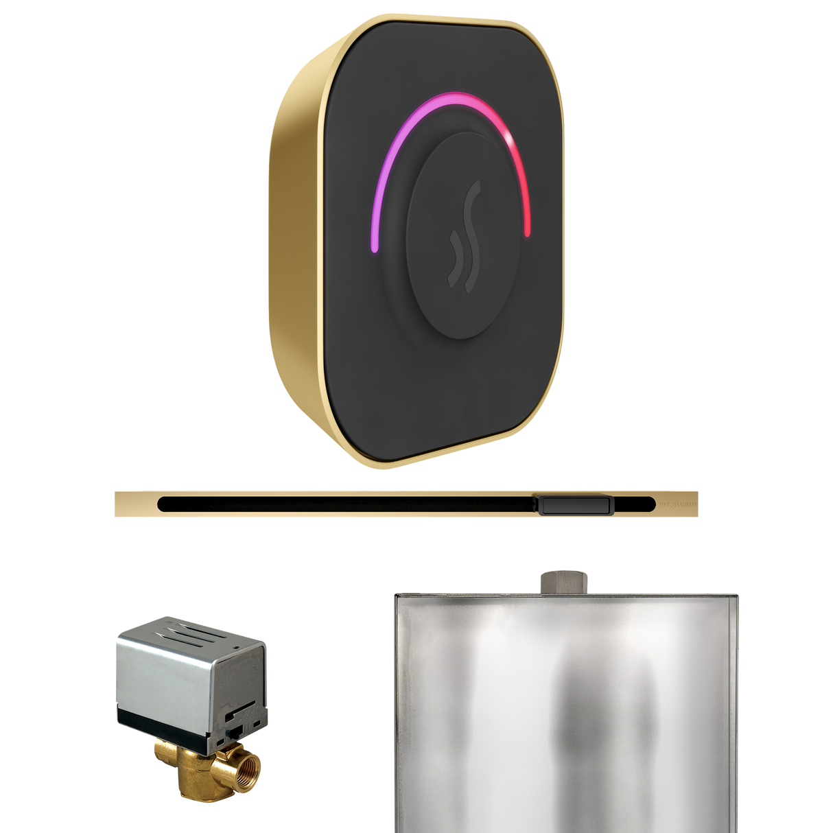 Mr. Steam ButlerTouch Steam Shower Control Package with TempoTouch Control and Linear Steamhead