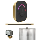 Mr. Steam ButlerTouch Steam Shower Control Package with TempoTouch Control and Linear Steamhead