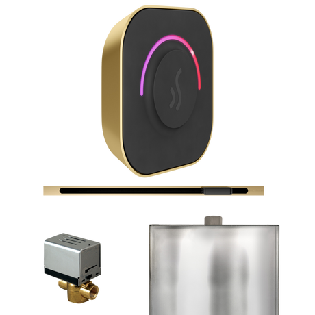 Mr. Steam ButlerTouch Steam Shower Control Package with TempoTouch Control and Linear Steamhead