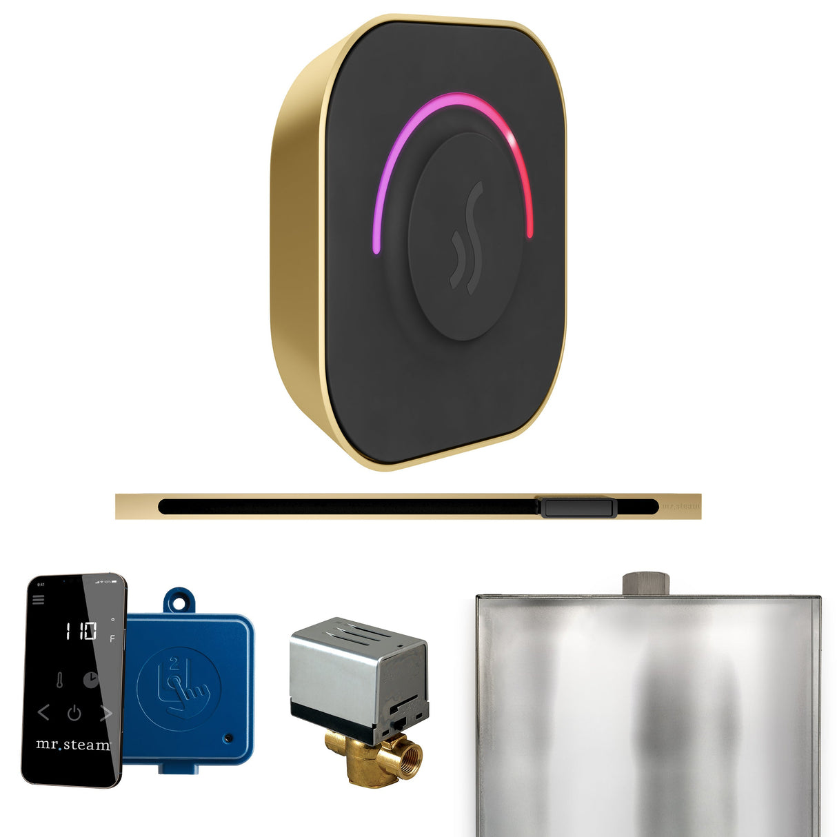 Mr. Steam ButlerTouch Steam Shower Control Package with TempoTouch Control and Linear Steamhead