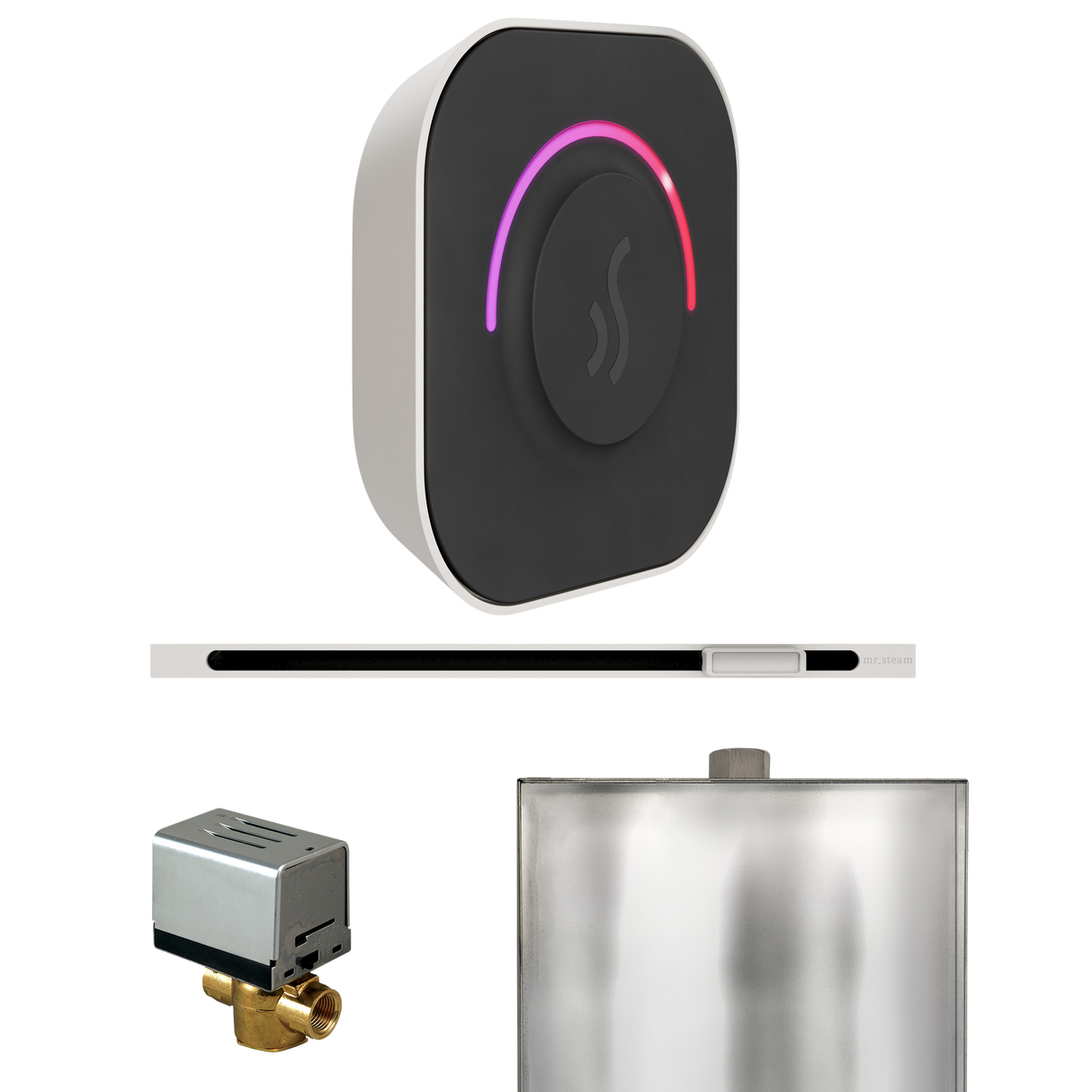 Mr. Steam ButlerTouch Steam Shower Control Package with TempoTouch Control and Linear Steamhead