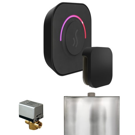 Mr. Steam ButlerTouch Steam Shower Control Package with TempoTouch Control and Steamhead
