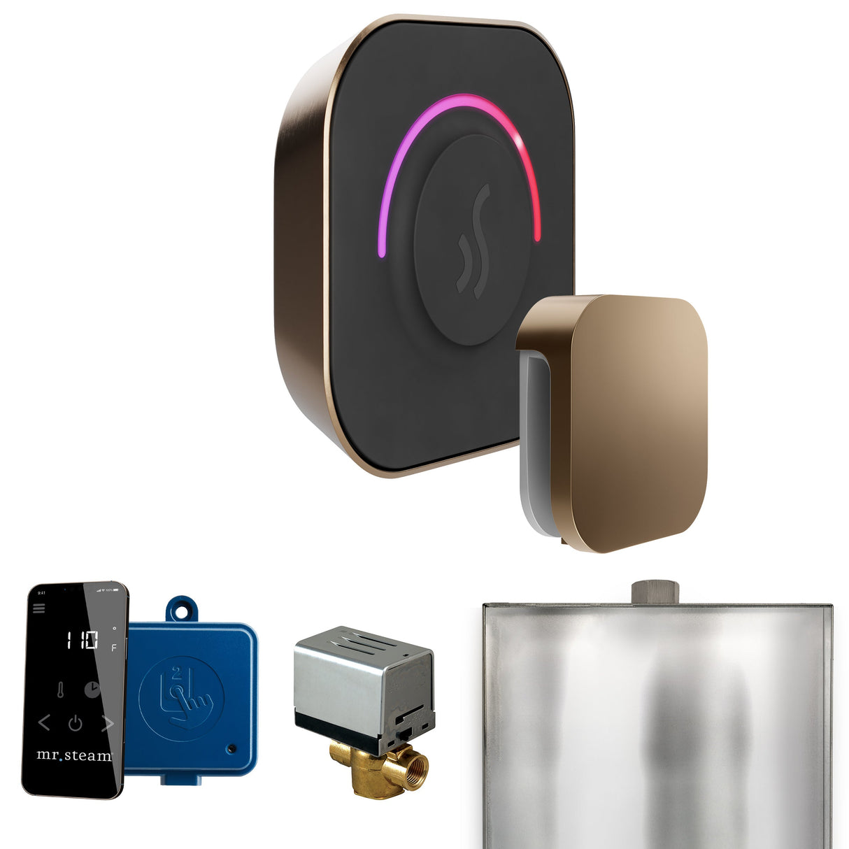 Mr. Steam ButlerTouch Steam Shower Control Package with TempoTouch Control and Steamhead