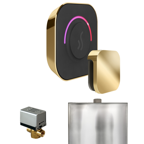 Mr. Steam ButlerTouch Steam Shower Control Package with TempoTouch Control and Steamhead