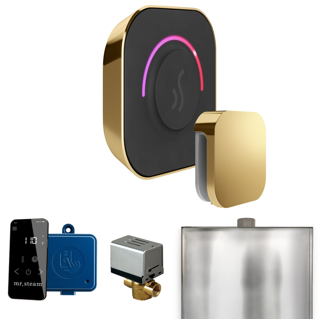 Mr. Steam ButlerTouch Steam Shower Control Package with TempoTouch Control and Steamhead