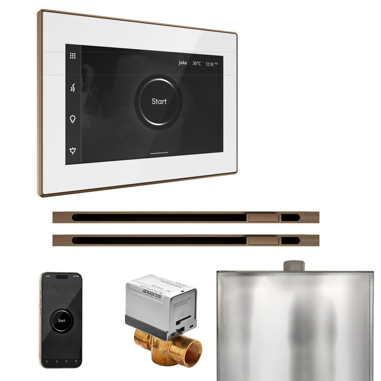 Mr. Steam XButler Max Steam Shower Control Package with iSteamX Control and Linear Steamhead