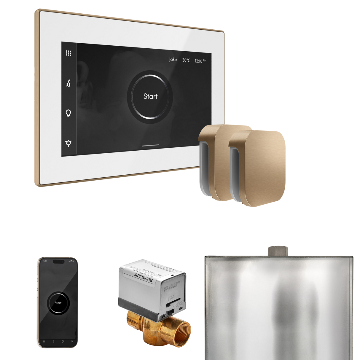 Mr. Steam XButler Max Steam Shower Control Package with iSteamX Control and Steamhead