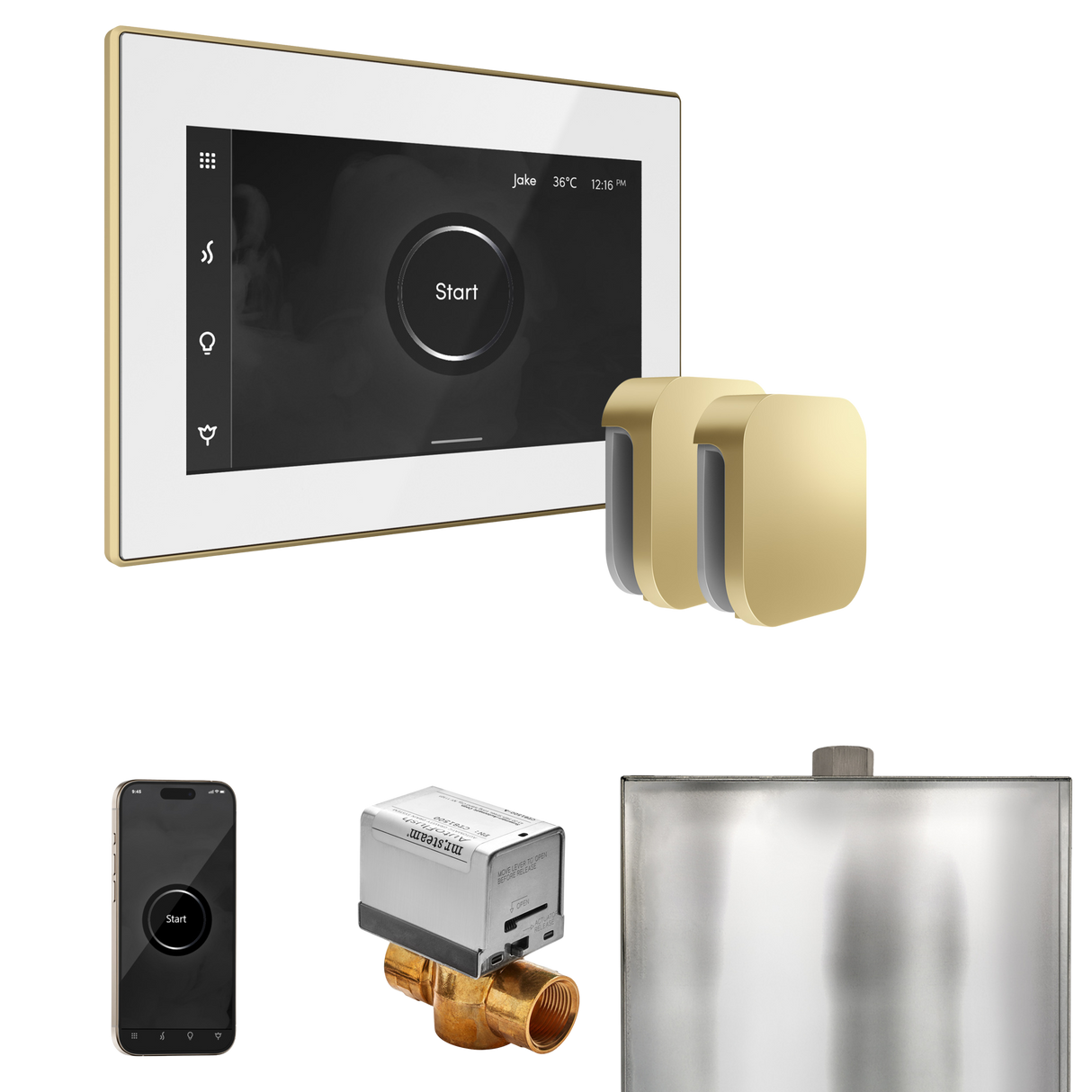 Mr. Steam XButler Max Steam Shower Control Package with iSteamX Control and Steamhead