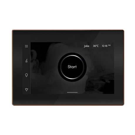 Mr. Steam iSteamX Steam Shower Control and Steamhead