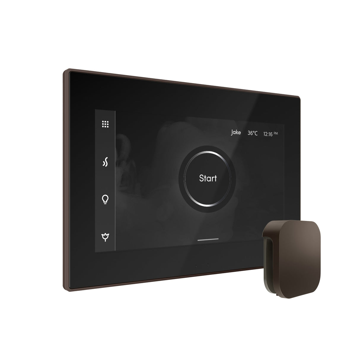 Mr. Steam iSteamX Steam Shower Control and Steamhead