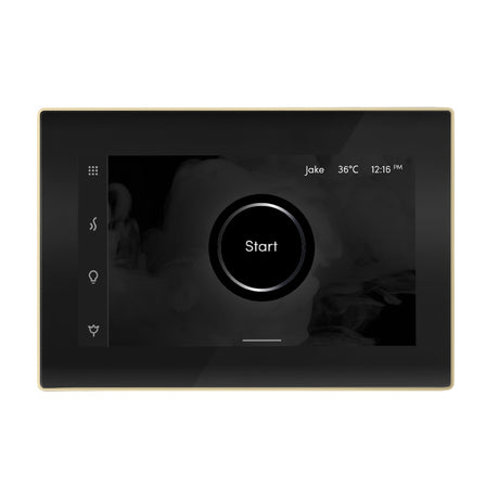 Mr. Steam iSteamX Steam Shower Control and Steamhead