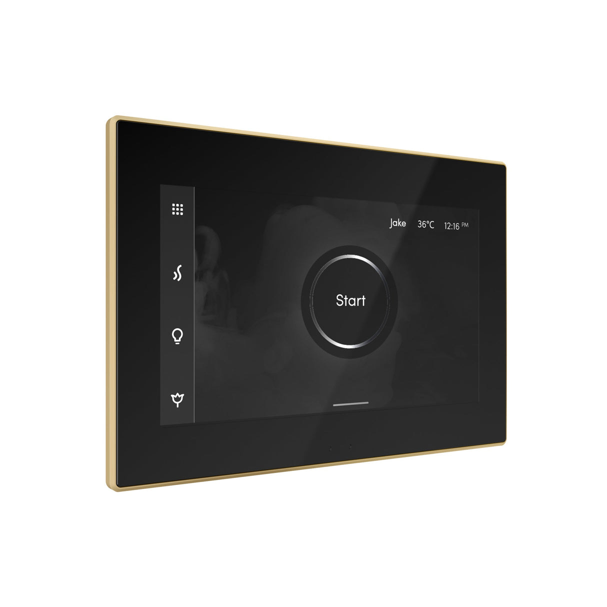 Mr. Steam iSteamX Steam Shower Control and Steamhead