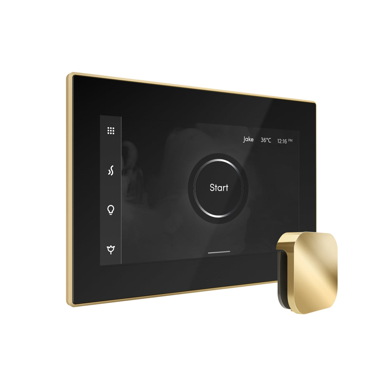 Mr. Steam iSteamX Steam Shower Control and Steamhead