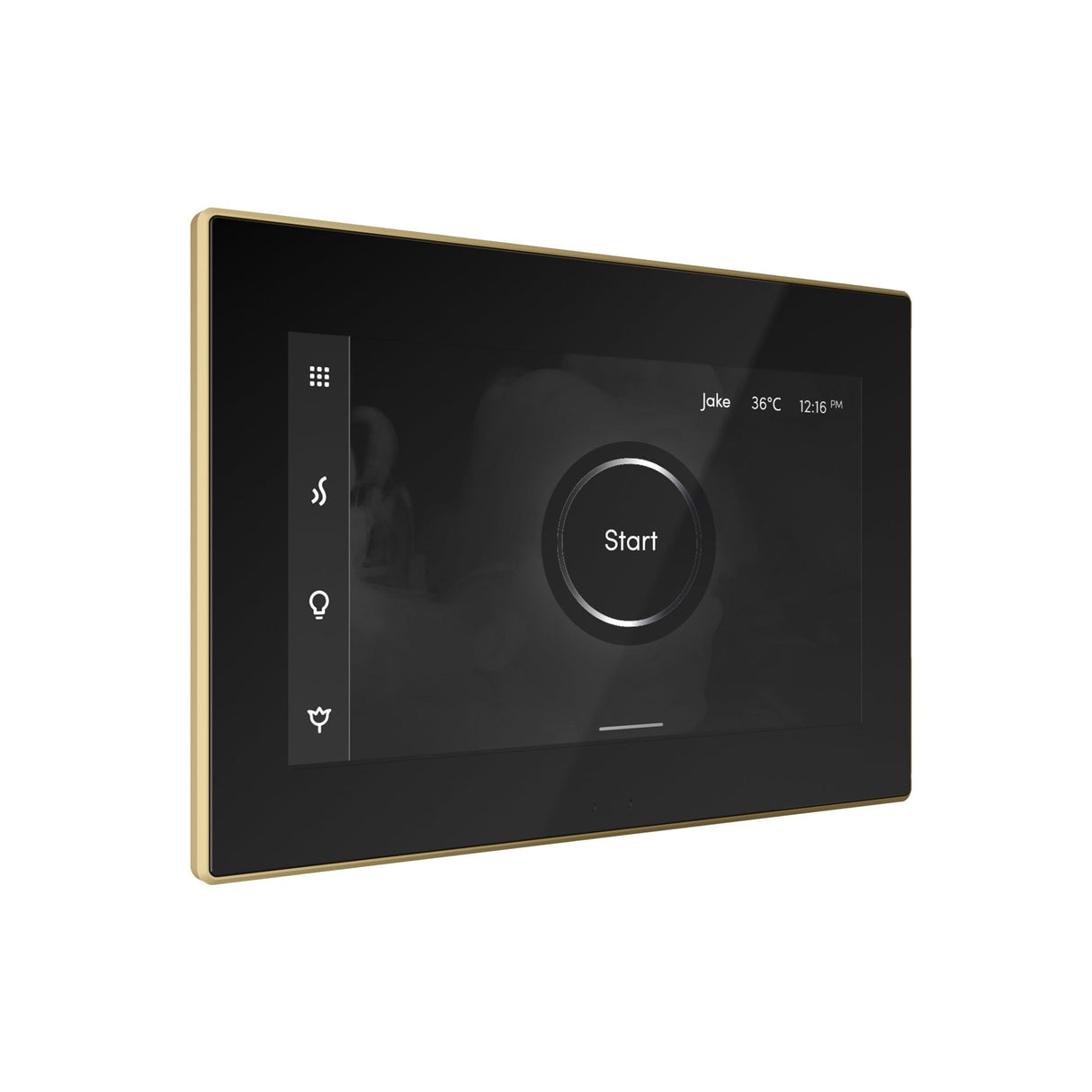Mr. Steam iSteamX Steam Shower Control and Steamhead