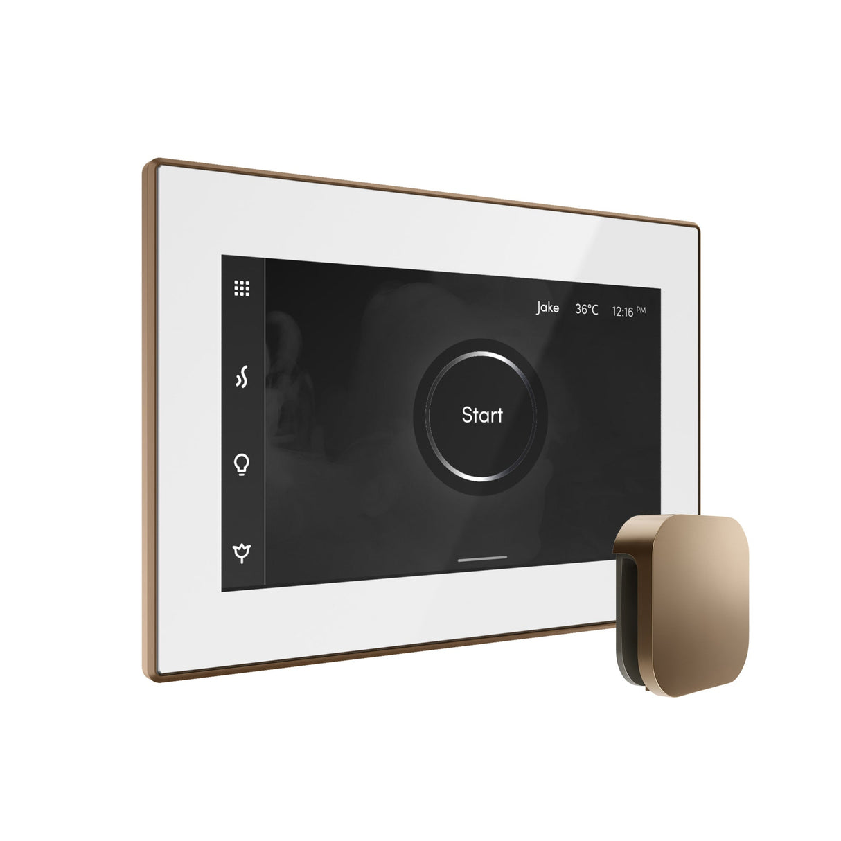 Mr. Steam iSteamX Steam Shower Control and Steamhead
