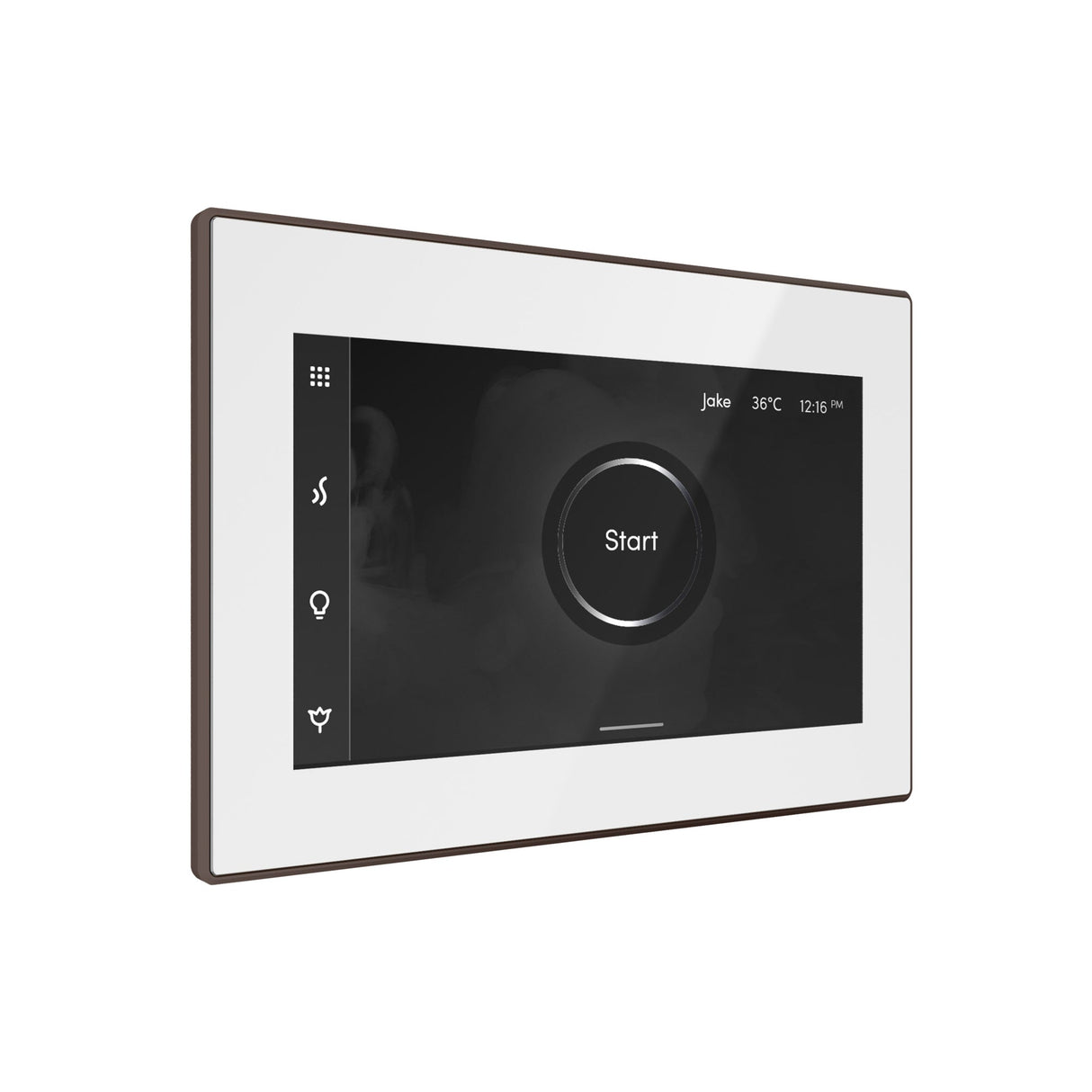 Mr. Steam iSteamX Steam Shower Control and Steamhead