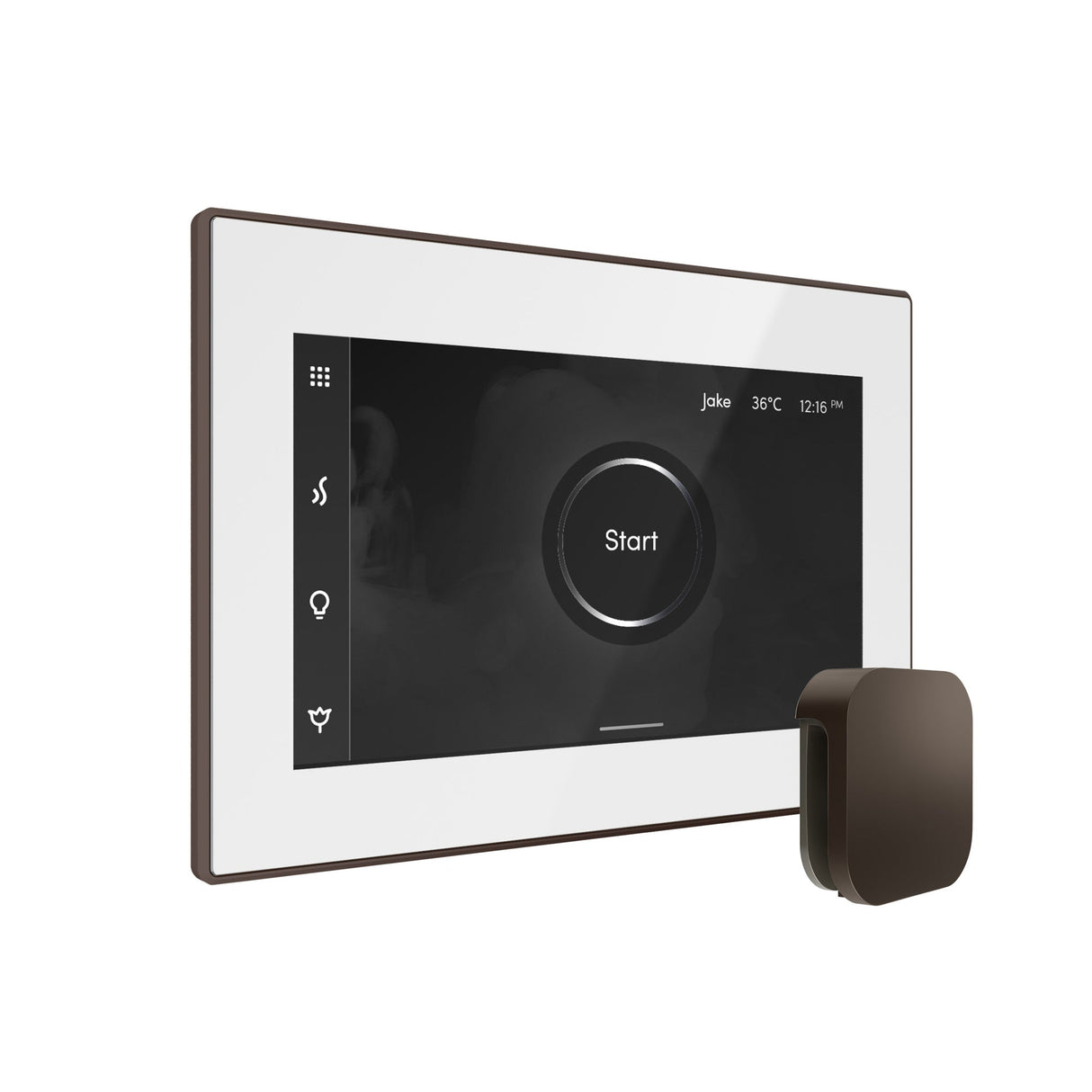 Mr. Steam iSteamX Steam Shower Control and Steamhead