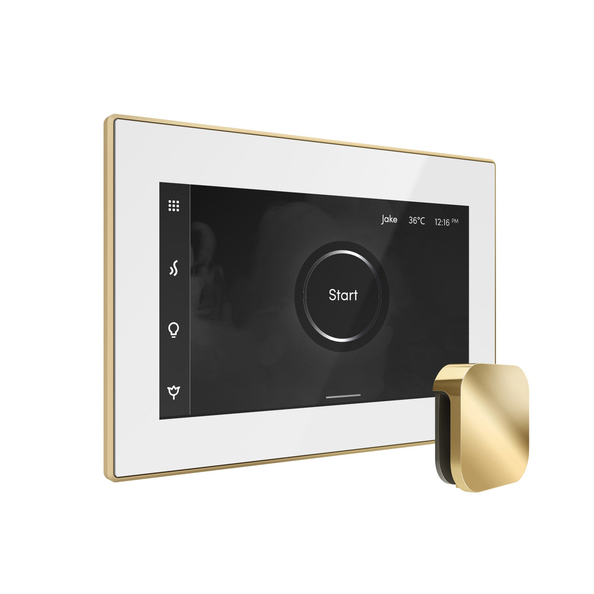 Mr. Steam iSteamX Steam Shower Control and Steamhead