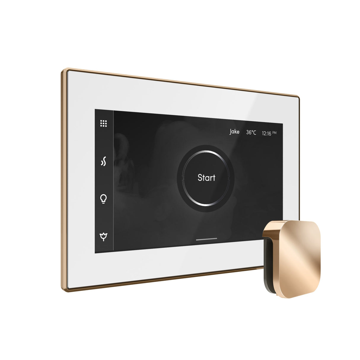 Mr. Steam iSteamX Steam Shower Control and Steamhead