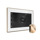 Mr. Steam iSteamX Steam Shower Control and Steamhead