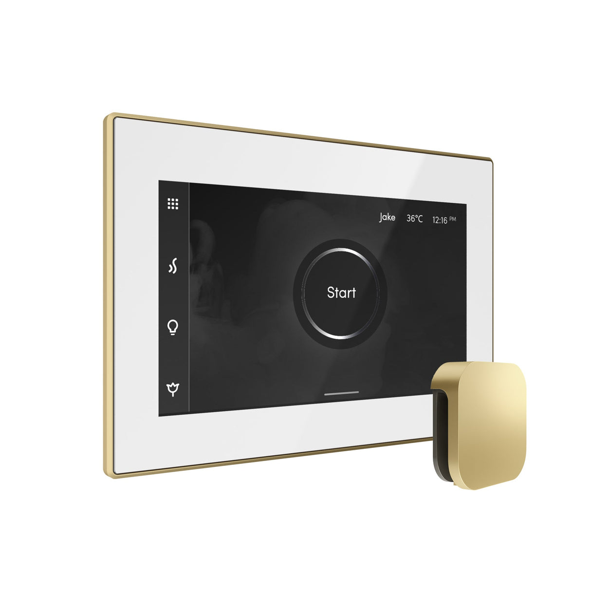 Mr. Steam iSteamX Steam Shower Control and Steamhead