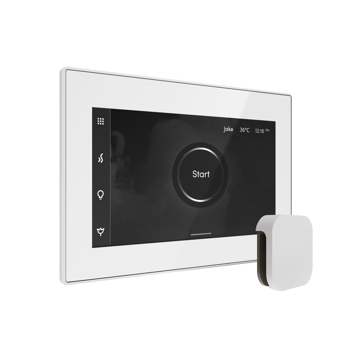Mr. Steam iSteamX Steam Shower Control and Steamhead