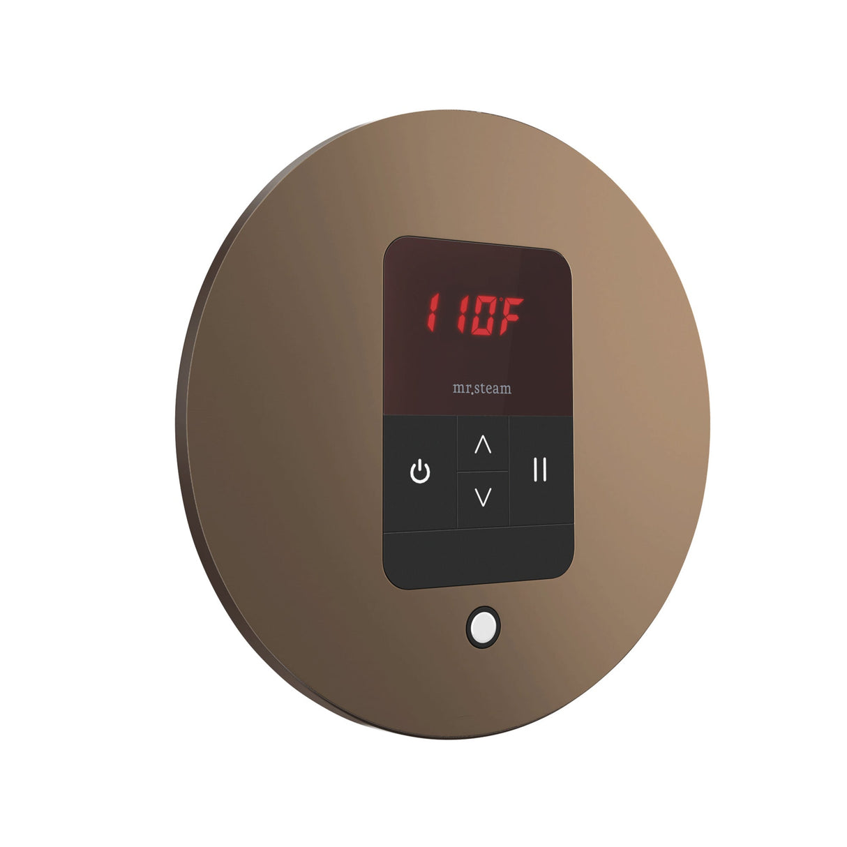 Mr. Steam iTempo Round Steam Shower Control and Steamhead