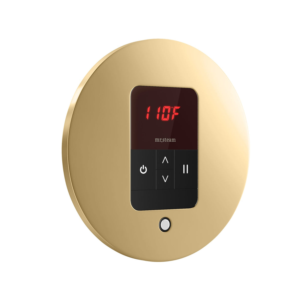 Mr. Steam iTempo Round Steam Shower Control and Steamhead