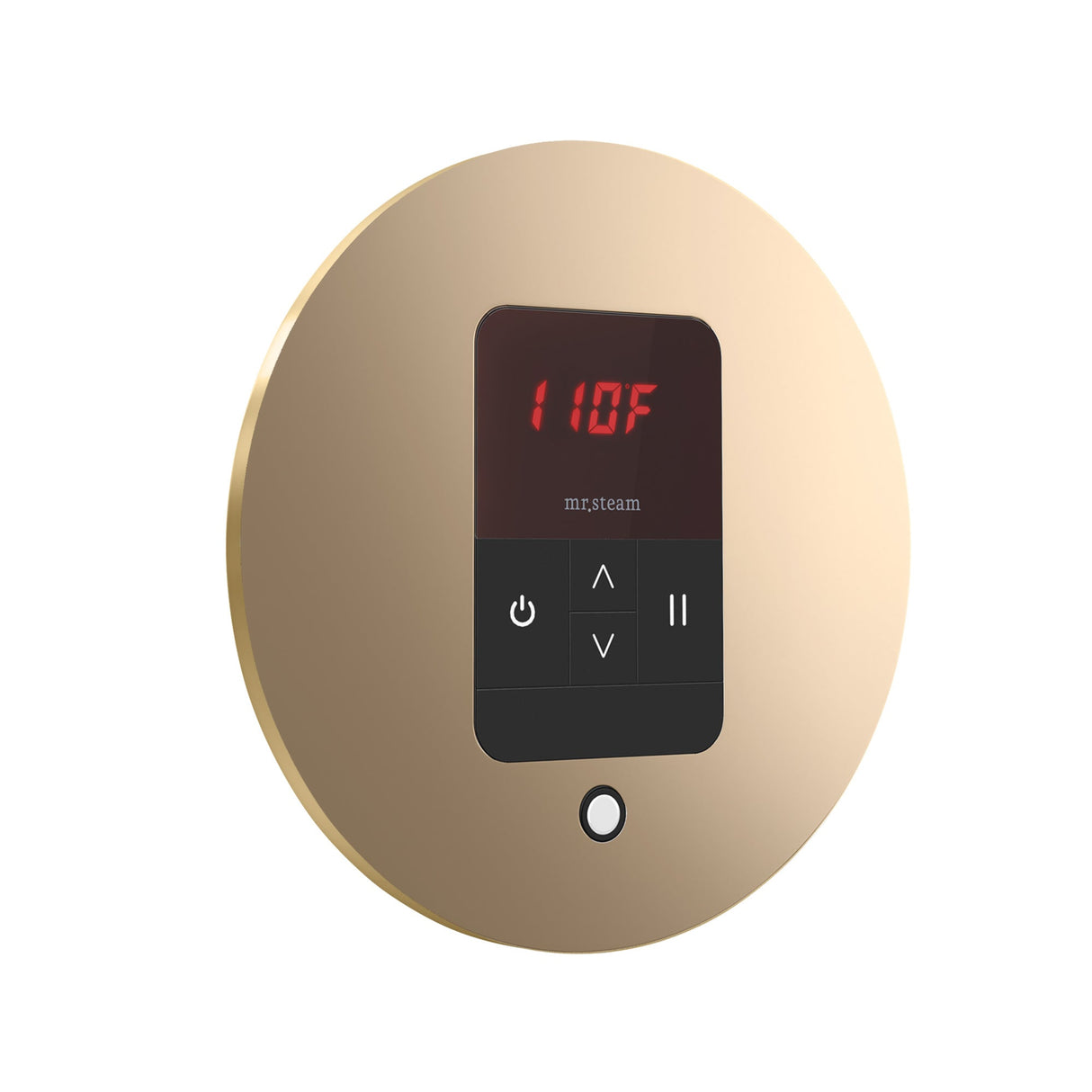 Mr. Steam iTempo Round Steam Shower Control and Steamhead