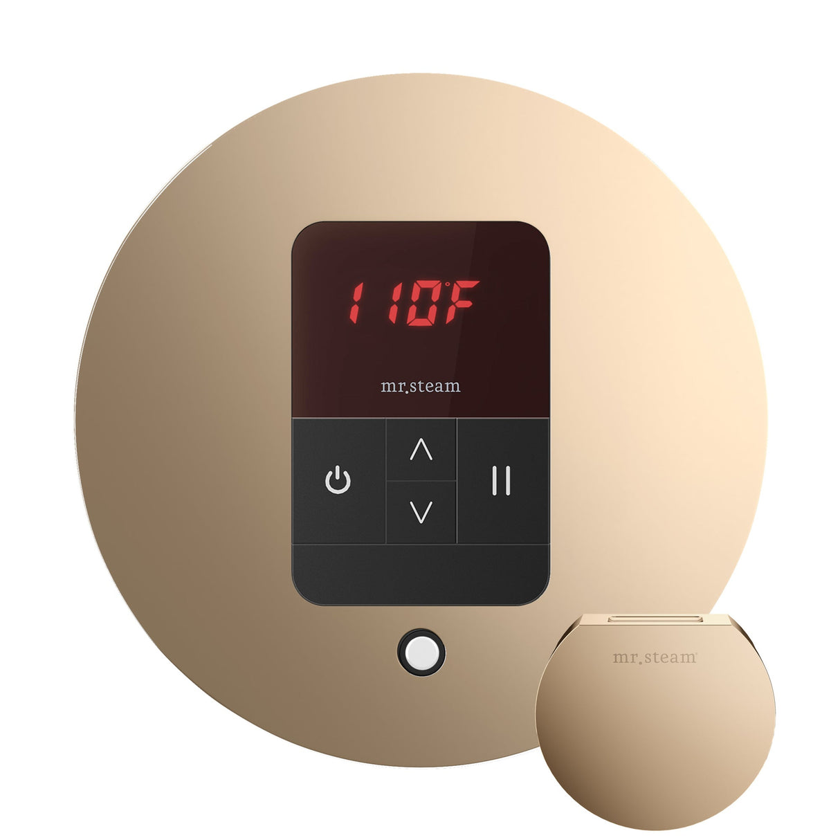 Mr. Steam iTempo Round Steam Shower Control and Steamhead