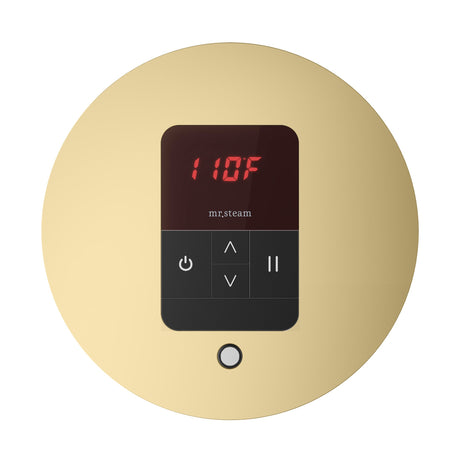 Mr. Steam iTempo Round Steam Shower Control and Steamhead