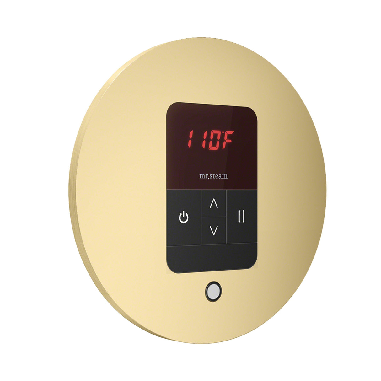 Mr. Steam iTempo Round Steam Shower Control and Steamhead