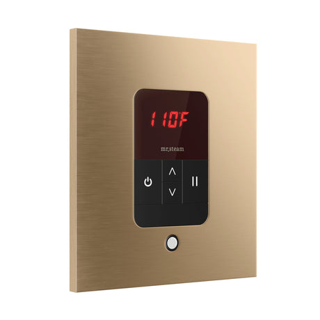 Mr. Steam iTempo Square Steam Shower Control and Steamhead
