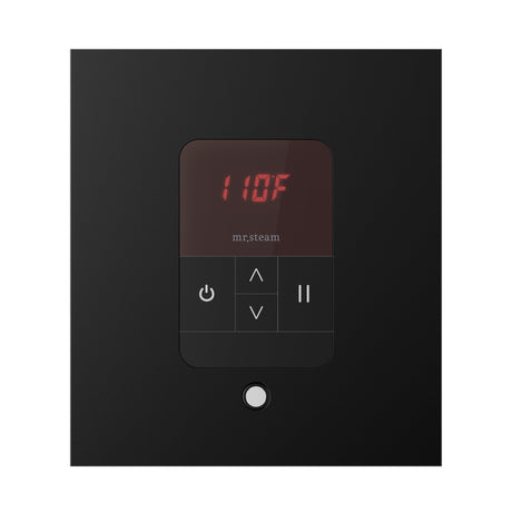 Mr. Steam iTempo Square Steam Shower Control and Steamhead