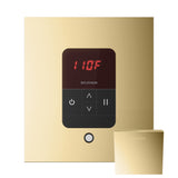 Mr. Steam iTempo Square Steam Shower Control and Steamhead