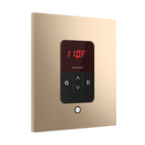 Mr. Steam iTempo Square Steam Shower Control and Steamhead