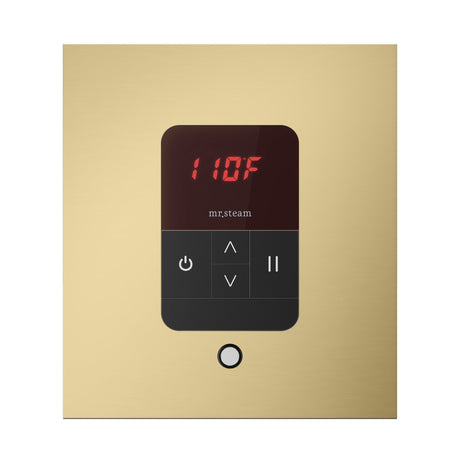 Mr. Steam iTempo Square Steam Shower Control and Steamhead