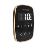 Mr. Steam TempoFlex Steam Shower Control and Steamhead