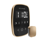 Mr. Steam TempoFlex Steam Shower Control and Steamhead